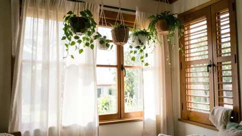 Co na okna zamiast rolet