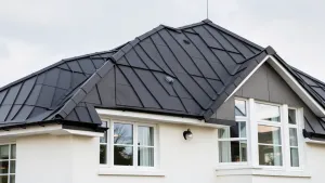 Czarny dach białe okna jaka elewacja