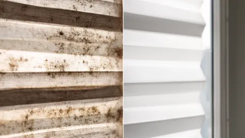 czyszczenie rolety dzień noc