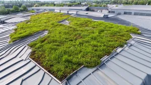 dach zielony na blasze trapezowej