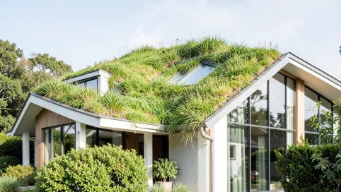 dom z zielonym dachem jaka elewacja