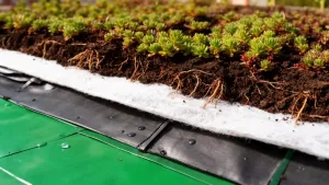 geowłóknina na dach zielony