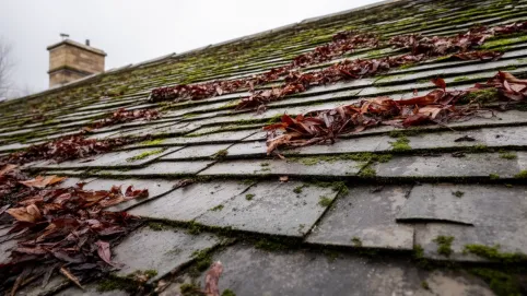 ile kosztuje czyszczenie dachu