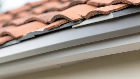 Jak dobrać kolor podbitki dachowej