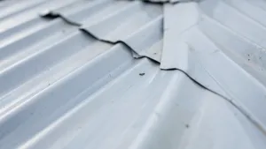 Jaka farba na dach z blachy