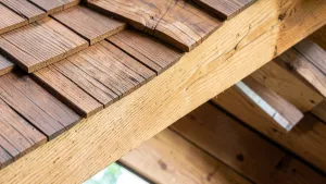 Jakie drewno na dach