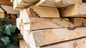 Jakie drewno na więźbę dachową