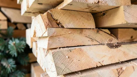 Jakie drewno na więźbę dachową