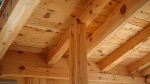 Konstrukcja dachu jednospadowego drewnianego