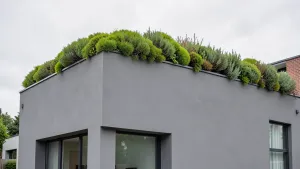 szara elewacja zielony dach