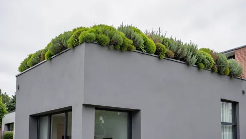 szara elewacja zielony dach