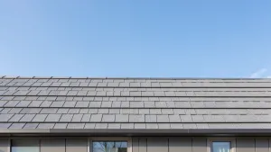 szary dach jaka elewacja