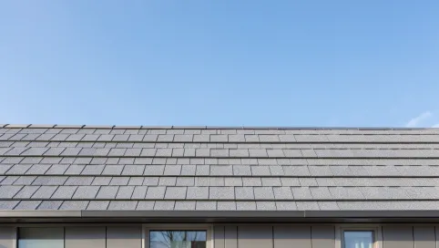 szary dach jaka elewacja